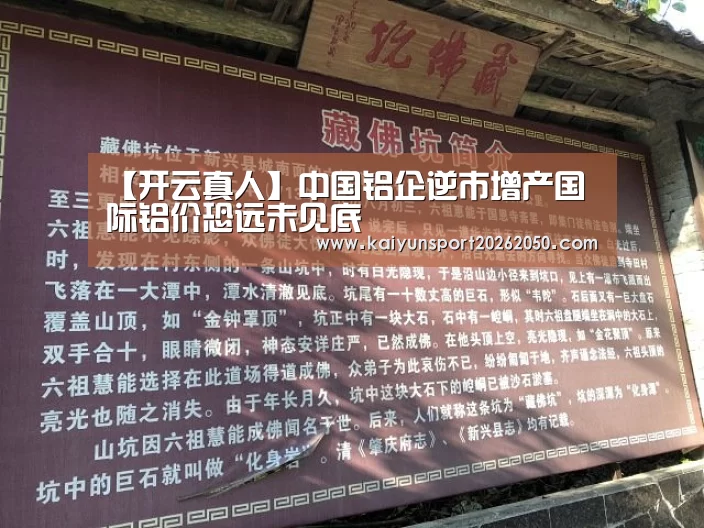 【开云真人】中国铝企逆市增产国际铝价恐远未见底(图2) 开云APP