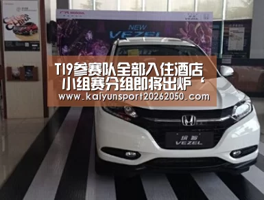 TI9参赛队全部入住酒店 小组赛分组即将出炉‘开云体验’(图1) 开云真人