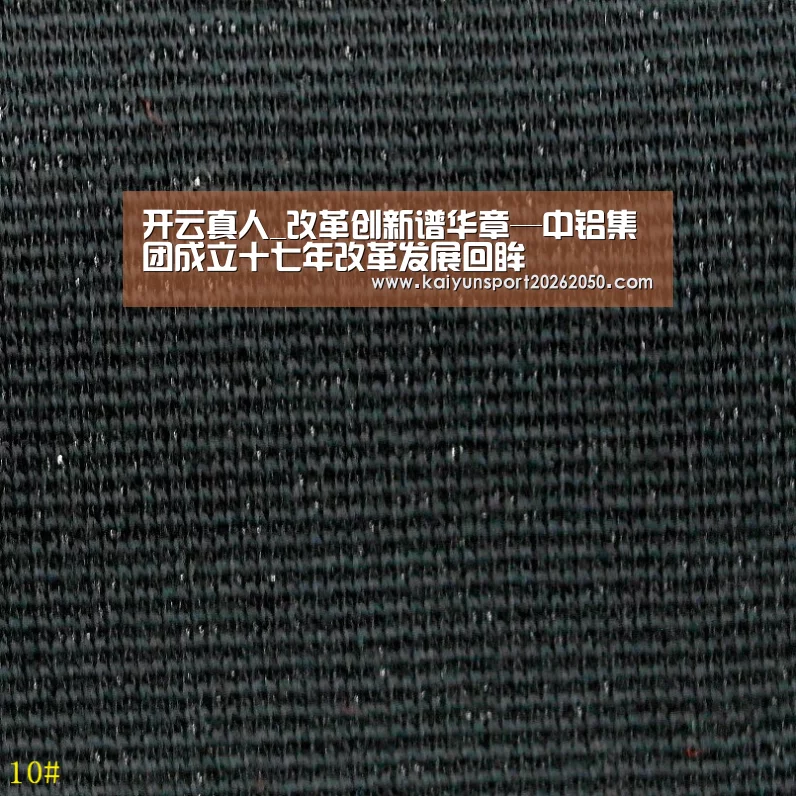 开云真人
