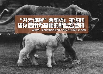 开云体验
