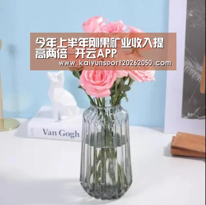 今年上半年刚果矿业收入提高两倍-开云APP(图1) 开云电竞