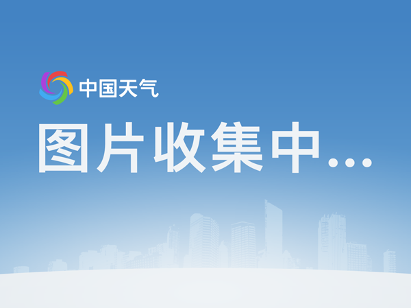 开云电竞